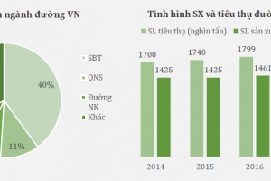 Ngành Mía đường Việt Nam và Khuyến nghị SBT