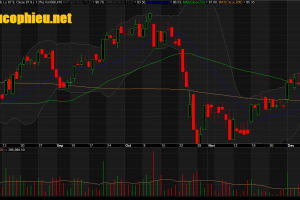 Đồ thị cổ phiếu MWG phiên giao dịch ngày 14/12/2018. Nguồn: AmiBroker