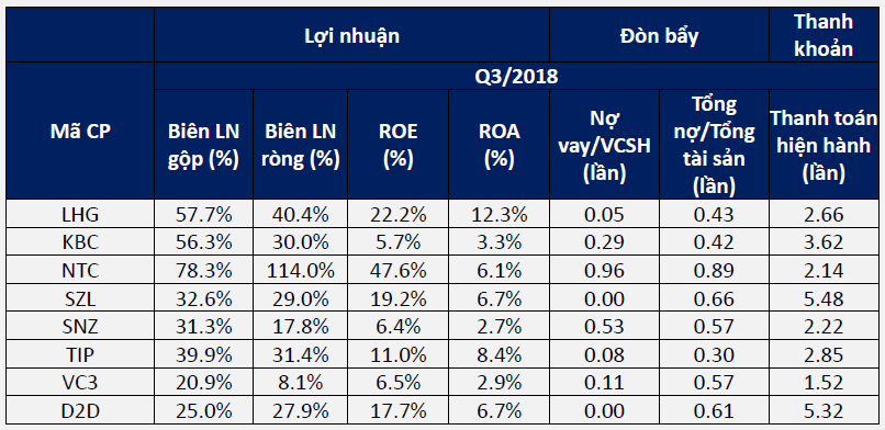 Ngành Bất động sản khu công nghiệp và LHG