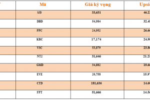 Danh mục cơ bản