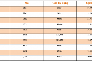 Danh mục cơ bản