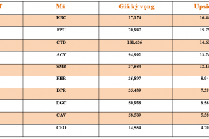 Danh mục cơ bản