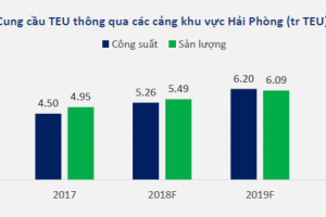 Khuyến nghị GMD và VSC