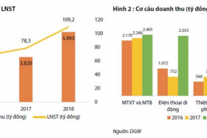 Cập nhật cổ phiếu DGW - Cập nhật KQKD năm 2018