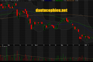  Đồ thị cổ phiếu NLG phiên giao dịch ngày 22/01/2019. Nguồn: AmiBroker