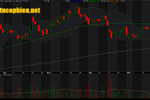 Đồ thị cổ phiếu VHC phiên giao dịch ngày 28/01/2019. Nguồn: AmiBroker