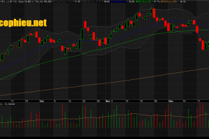 Đồ thị cổ phiếu VHC giữa phiên giao dịch ngày 02/01/2019. Nguồn: AmiBroker