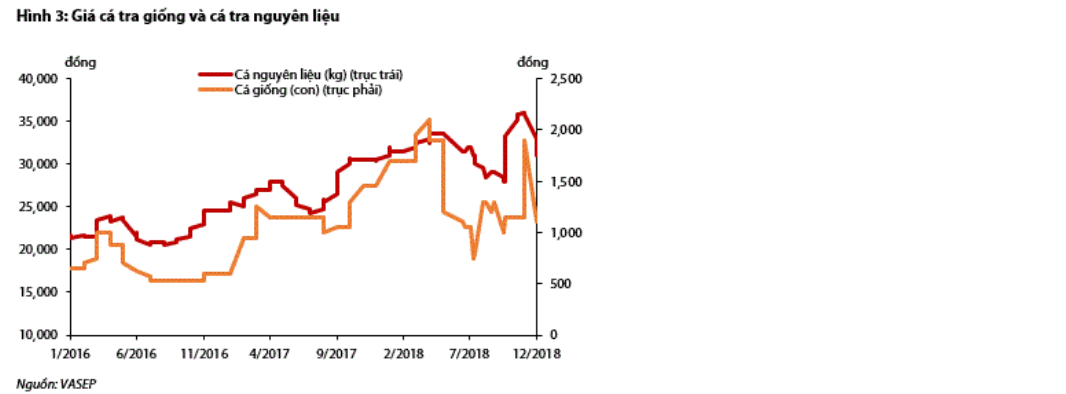 Cập nhật cổ phiếu VHC