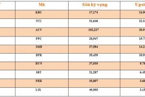 Danh mục cơ bản
