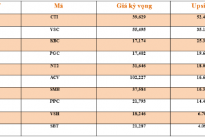 Danh mục cơ bản