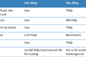 Phương pháp pầu tư: Thụ động hay Chủ động?