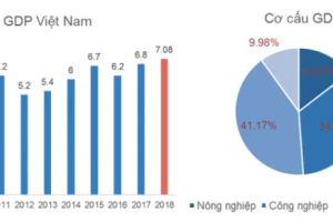 Toàn cảnh Nền kinh tế 2018 và nhận định về năm 2019