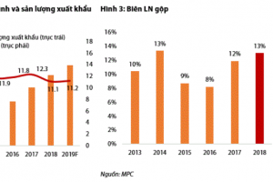 Cập nhật cổ phiếu MPC - Cập nhật KQKD 2018 và kế hoạch năm 2019