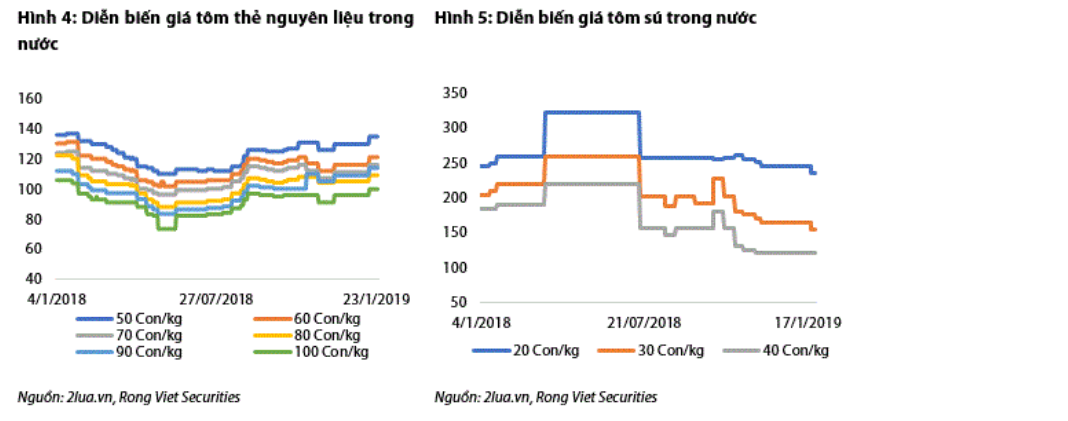 Cập nhật cổ phiếu MPC - Cập nhật KQKD 2018 và kế hoạch năm 2019