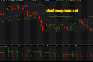 Đồ thị cổ phiếu NLG phiên giao dịch ngày 29/01/2019. Nguồn: AmiBroker