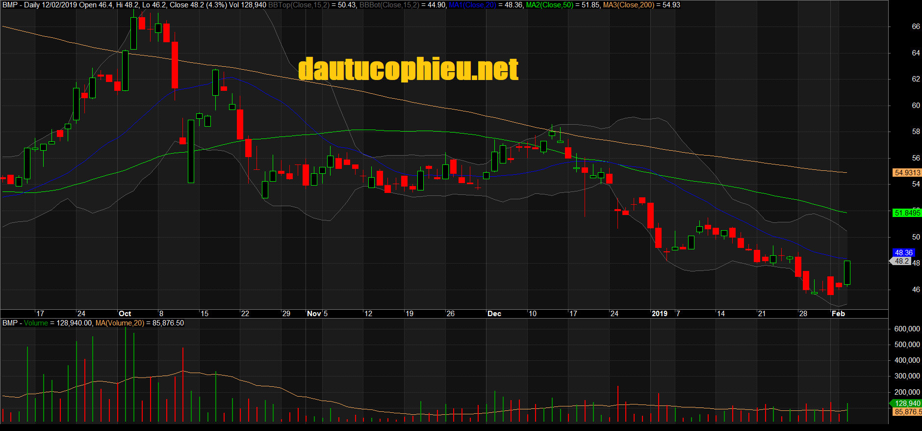 Đồ thị cổ phiếu BMP phiên giao dịch ngày 12/02/2019. Nguồn: AmiBroker