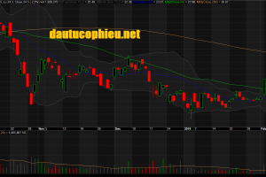 Đồ thị cổ phiếu DXG phiên giao dịch ngày 19/02/2019. Nguồn: AmiBroker