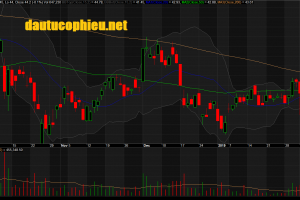 Đồ thị cổ phiếu FPT phiên giao dịch ngày 15/02/2019. Nguồn: AmiBroker