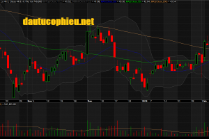 Đồ thị cổ phiếu FPT phiên giao dịch ngày 21/02/2019. Nguồn: AmiBroker