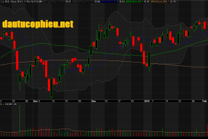 Đồ thị cổ phiếu HDG phiên giao dịch ngày 14/02/2019. Nguồn: AmiBroker