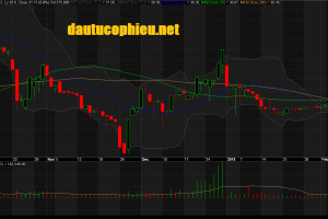 Đồ thị cổ phiếu KDH phiên giao dịch ngày 20/02/2019. Nguồn: AmiBroker