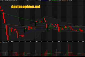 Đồ thị cổ phiếu MWG phiên giao dịch ngày 21/02/2019. Nguồn: AmiBroker