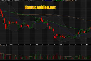 Đồ thị cổ phiếu NLG phiên giao dịch ngày 22/02/2019. Nguồn: AmiBroker