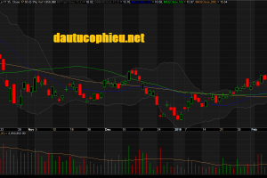 Đồ thị cổ phiếu PVD  phiên giao dịch ngày 22/02/2019. Nguồn: AmiBroker