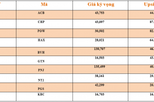 Danh mục cơ bản