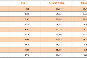 Danh mục cơ bản