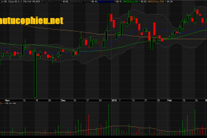 Đồ thị cổ phiếu ACV phiên giao dịch ngày 13/03/2019. Nguồn: AmiBroker