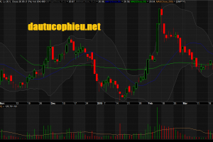 Đồ thị cổ phiếu DXG phiên giao dịch ngày 29/03/2019. Nguồn: AmiBroker