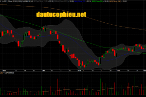 Đồ thị cổ phiếu CTG phiên giao dịch ngày 13/03/2019. Nguồn: AmiBroker