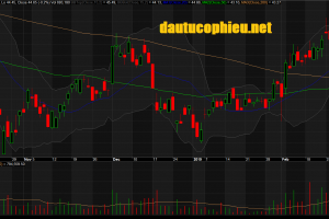 Đồ thị cổ phiếu FPT phiên giao dịch ngày 08/03/2019. Nguồn: AmiBroker