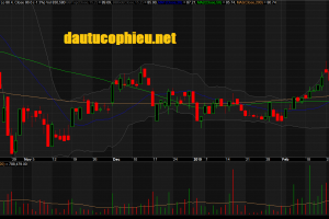 Đồ thị cổ phiếu MWG phiên giao dịch ngày 08/03/2019. Nguồn: AmiBroker