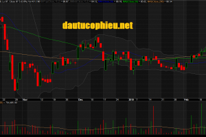 Đồ thị cổ phiếu MWG phiên giao dịch ngày 01/03/2019. Nguồn: AmiBroker