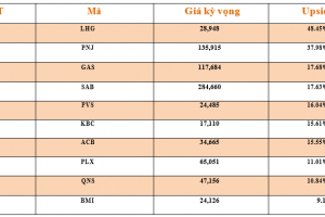 Danh mục cơ bản