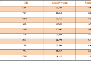 Danh mục cơ bản