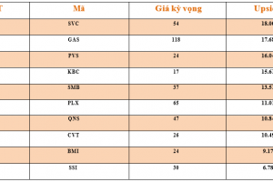 Danh mục cơ bản