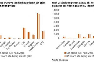 Tổng quan về tình hình cung cầu và dự báo giá dầu Brent cho năm 2019