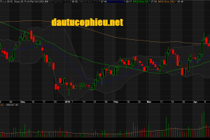 Đồ thị cổ phiếu NLG phiên giao dịch ngày 24/04/2019. Nguồn: AmiBroker