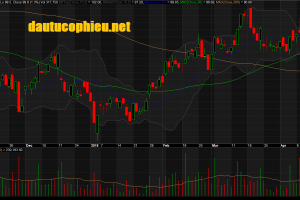 Đồ thị cổ phiếu PNJ phiên giao dịch ngày 23/04/2019. Nguồn: AmiBroker