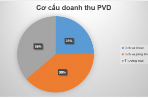 Cập nhật cổ phiếu PVD - Mảng kinh doanh cốt lõi sẽ hết lỗCập nhật cổ phiếu PVD - Mảng kinh doanh cốt lõi sẽ hết lỗ