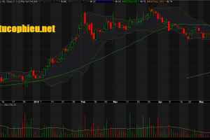 Đồ thị cổ phiếu VEA phiên giao dịch ngày 21/05/2019. Nguồn: AmiBroker
