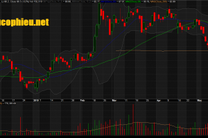 Đồ thị cổ phiếu VHM phiên giao dịch ngày 22/05/2019. Nguồn: AmiBroker