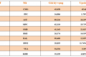 Danh mục cơ bản