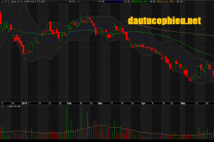 Đồ thị cổ phiếu TCB phiên giao dịch ngày 03/06/2019. Nguồn: AmiBroker