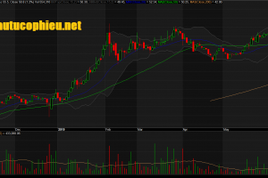 Đồ thị cổ phiếu VEA phiên giao dịch ngày 13/06/2019. Nguồn: AmiBroker