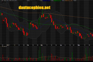 Đồ thị cổ phiếu BMP phiên giao dịch ngày 11/06/2019. Nguồn: AmiBroker