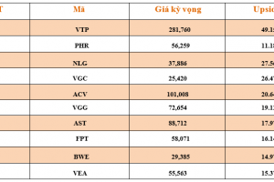 Danh mục cơ bản